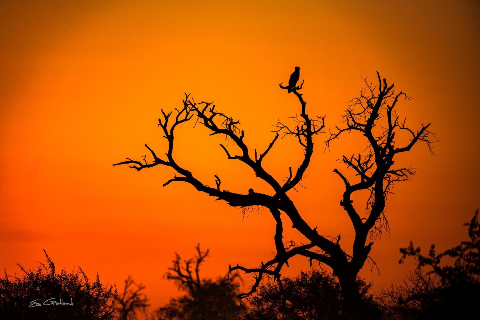 Africa On Foot Villa Klaserie Private Nature Reserve Exterior photo